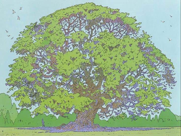 Moebius's Tree